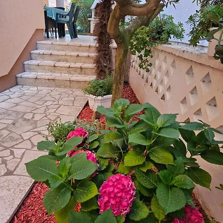 Asterix Apartament Pula