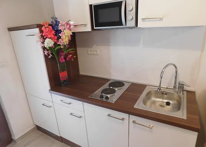 Apartment Asterix Pula